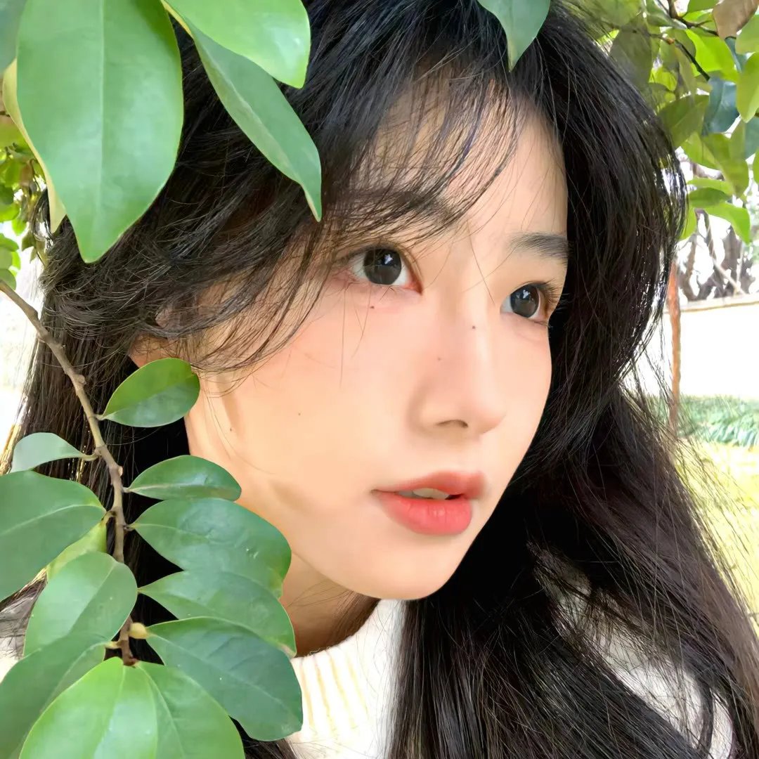 纯真11岁 封面
